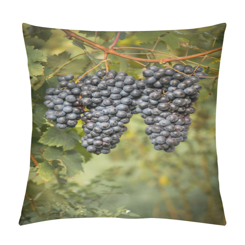 Personality  Grapes On The Vine Pillow Covers