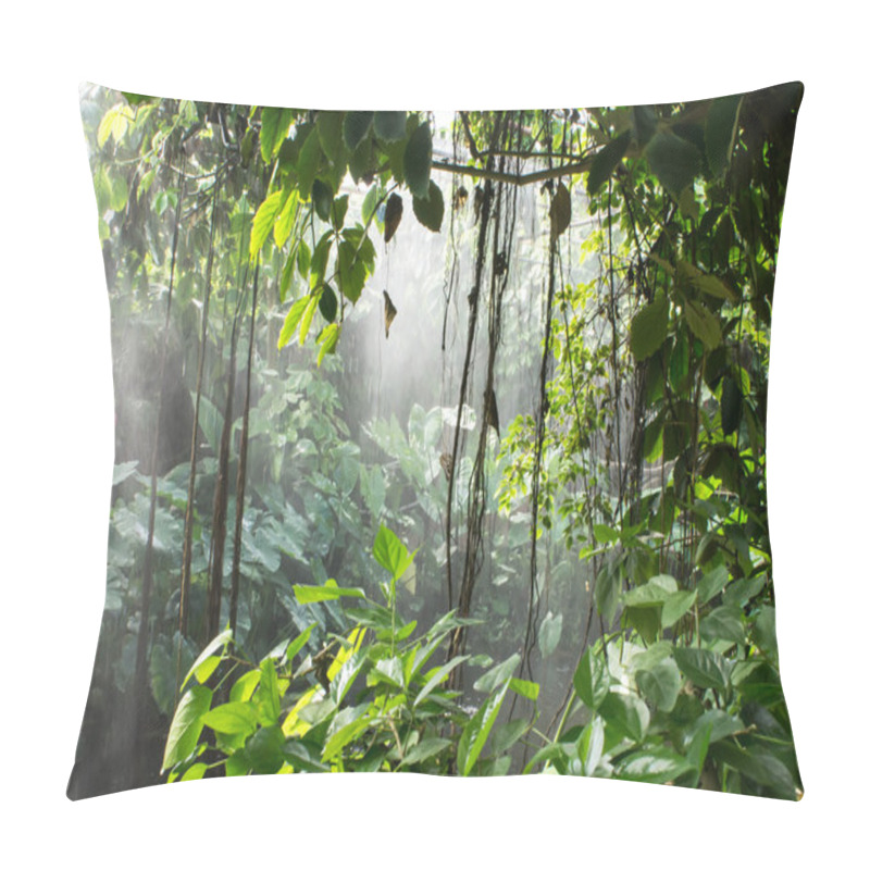 Personality  Rainforest Pillow Covers