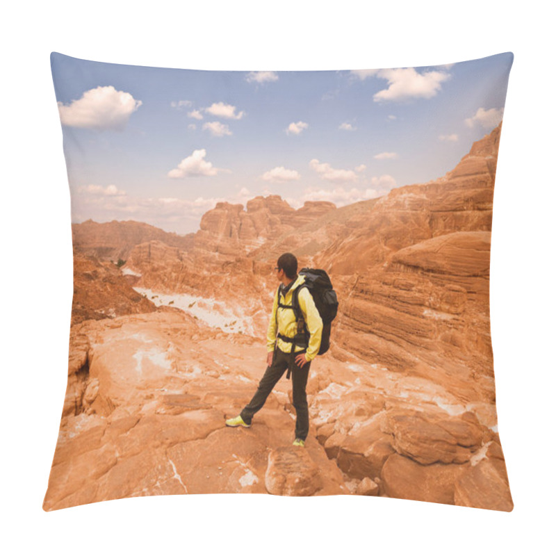 Personality  Woman Hiker With Backpack Enjoy View In Desert Pillow Covers