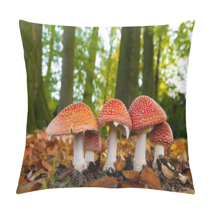 Personality  Mushrooms In Forest Pillow Covers