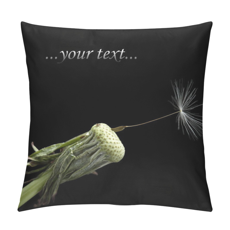 Personality  One Seed On Dandelion Pillow Covers