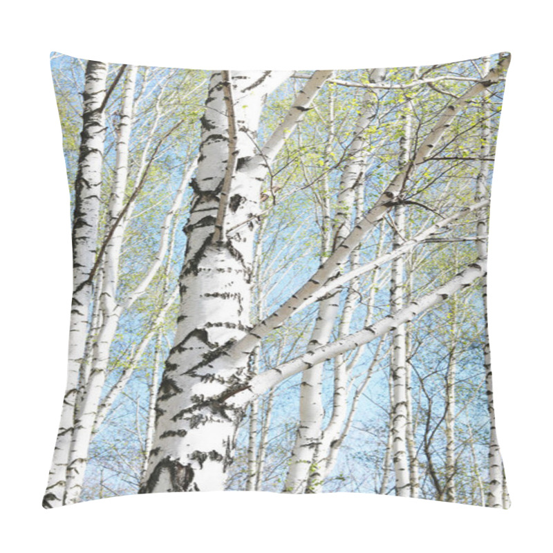 Personality  Several Birches With White Birch Bark In Birch Grove Among Other Birches Pillow Covers