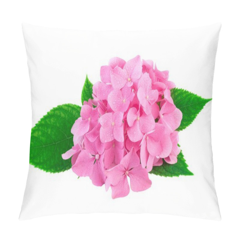 Personality  Pink Flowers Of Hydrangea Or Hortensia Isolated On White. Image Included Clipping Path  Pillow Covers