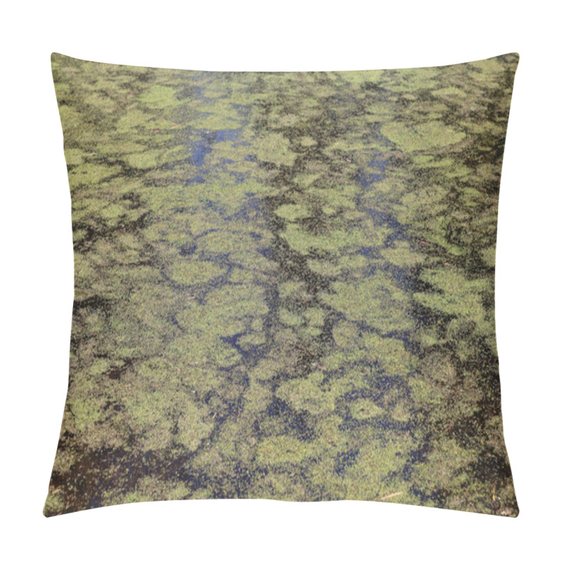 Personality  Pond Covered With Duckweed Pillow Covers