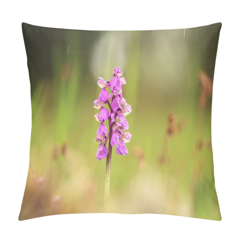 Personality  Orchis Morio. Orchid In Nature In The Czech Republic. Wild Nature. A Very Rare Plant. Plant Photographed In The Morning. The Sun In The Photo. Beautiful Nature. Wild Orchids On The Morning Meadow. Nature. Beautiful Picture. Spring. Pillow Covers