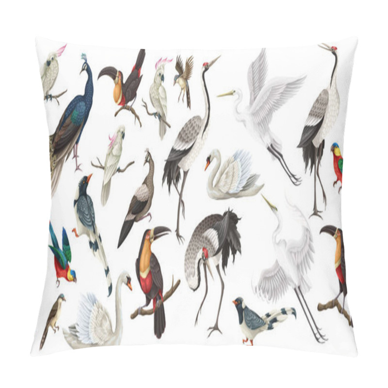 Personality  Biggest Birds Set In Realistic Style, High Quality Detail. Vector Pillow Covers