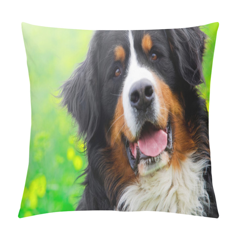 Personality  Bernese Mountain Dog Portrait Pillow Covers