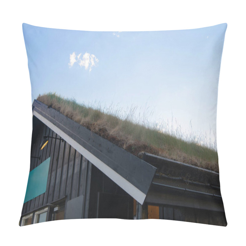 Personality  Roof Pillow Covers