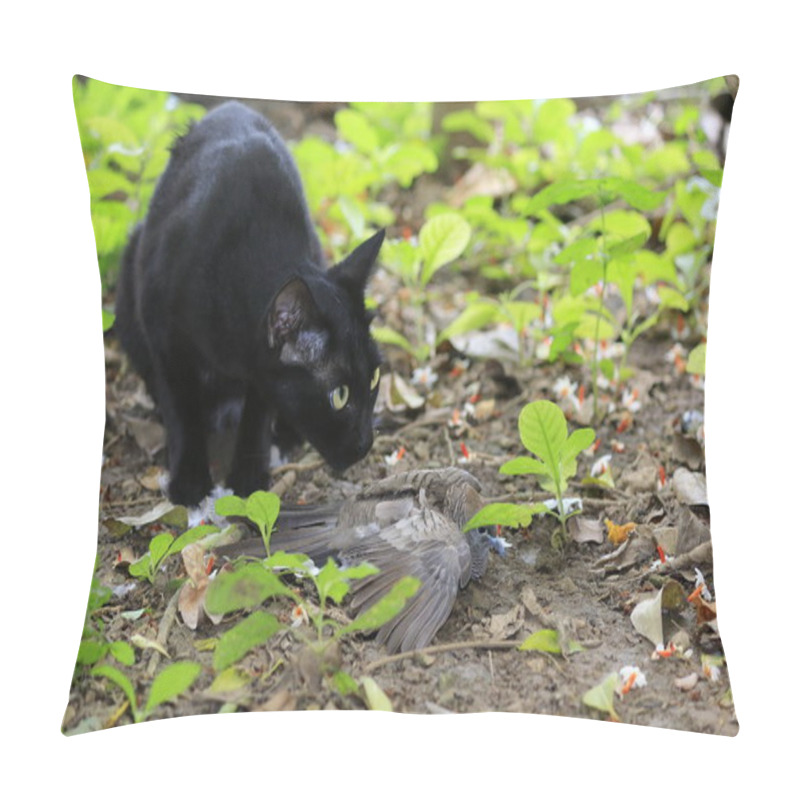 Personality  Cat Are Hunting And Eating Bird In The Woods. Pillow Covers