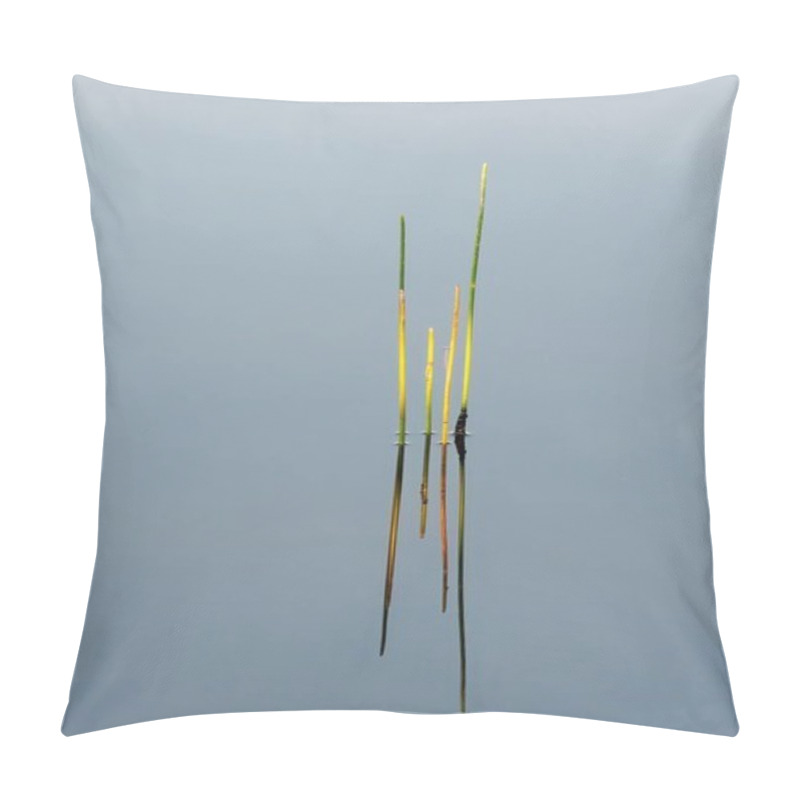 Personality  Reeds In Soft Morning Light Reflected In Calm Water Of Florida Wetlands In Green Cay Nature Center In Boynton Beach. Pillow Covers