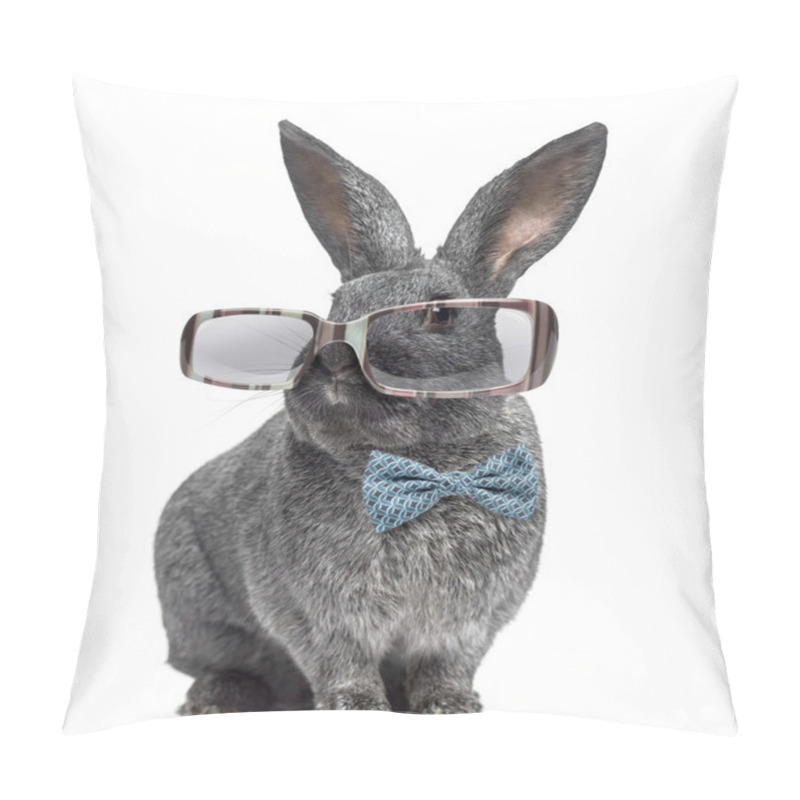 Personality  Argente Rabbit Wearing Glasses And Bow Tie Isolated On White Pillow Covers