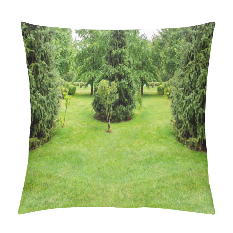 Personality  Backyard  Garden Ladscape With A Green Lawn And Evergreen Pine Trees In The Park With Meadow Grass, Nobody Copy Space. Pillow Covers