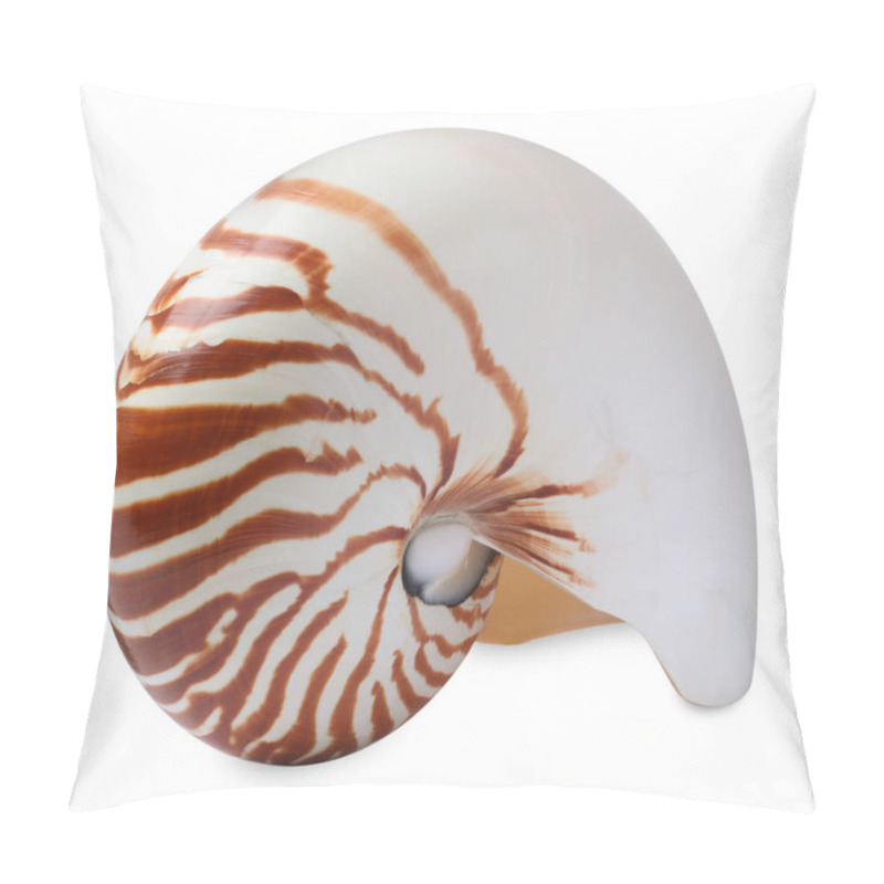 Personality  One Beautiful Nautilus Shell Isolated On White Pillow Covers