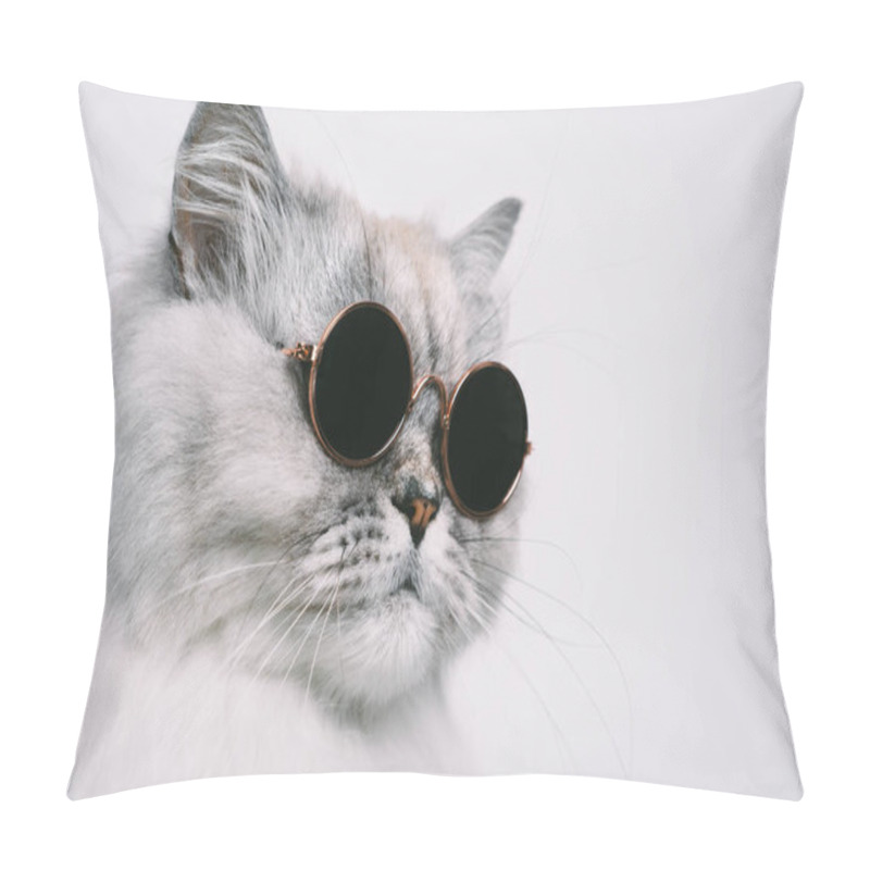 Personality  Portrait Of Funny Grey Cat In Sunglasses. Copy Space Pillow Covers