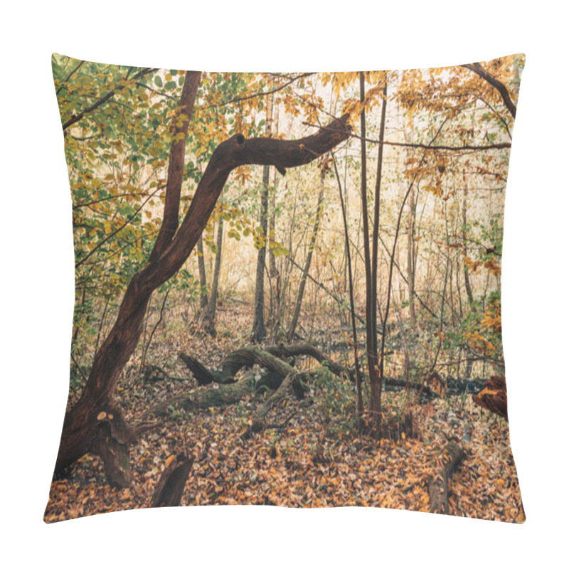 Personality  Fallen Leaves Near Tree Roots In Autumn Forest  Pillow Covers