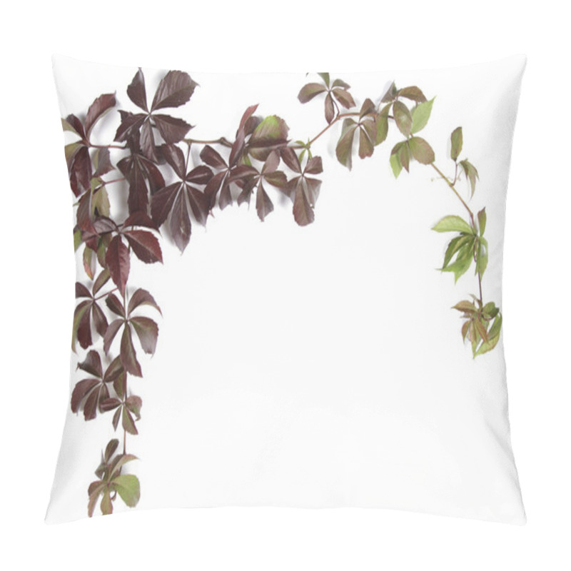 Personality  Bindweed Pillow Covers