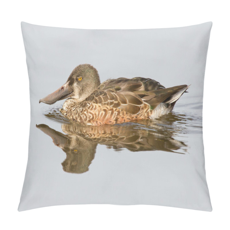 Personality  A Northern Shoveler Pillow Covers