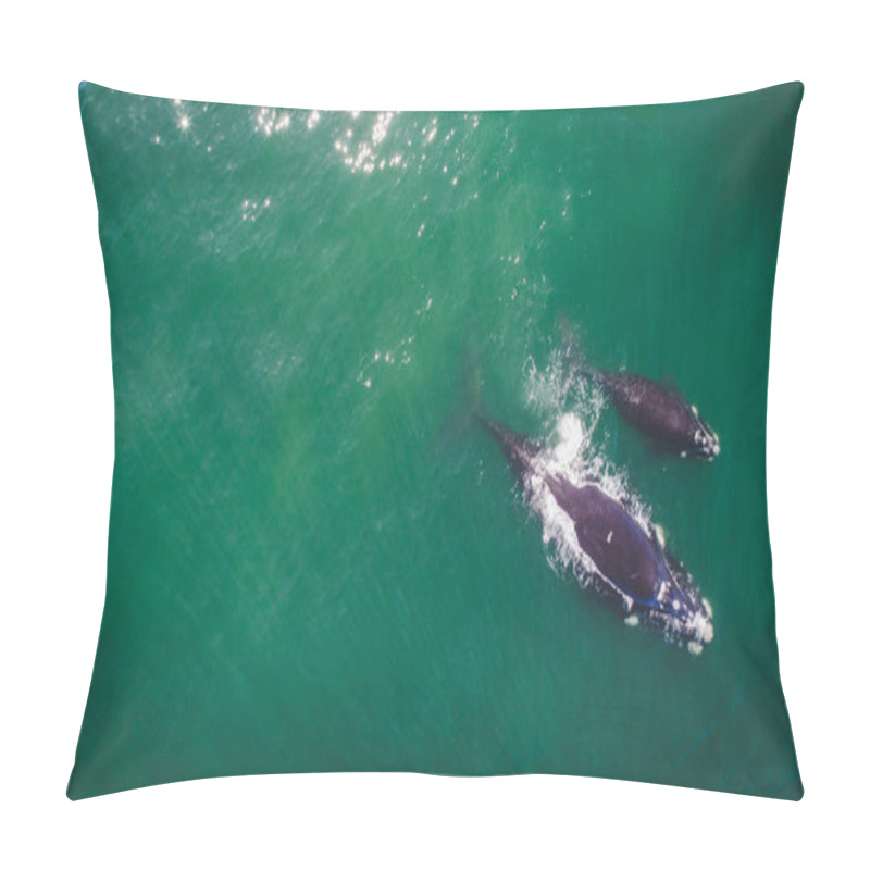 Personality  Aerial View Over A Southern Right Whale And Her Calf Along The Overberg Coast Close To Hermanus In South Africa Pillow Covers