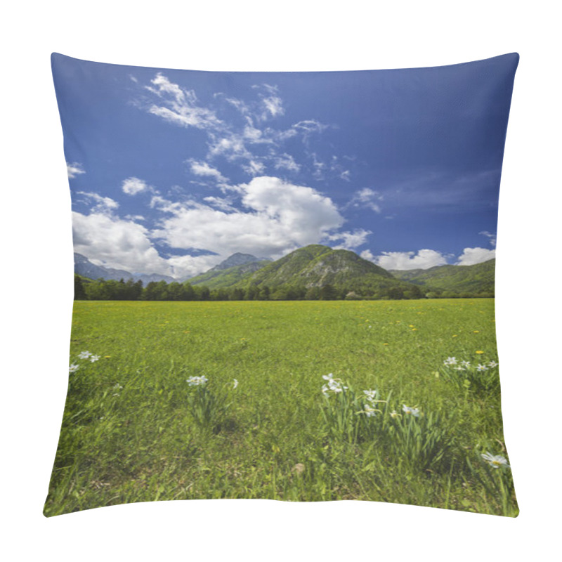 Personality  Spring Flower In Triglavski National Park, Slovenia Pillow Covers