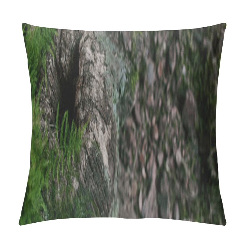 Personality  A Close-up View Of A Weathered, Hollowed Tree Stump Covered In Moss And Surrounded By Green Foliage. Pillow Covers