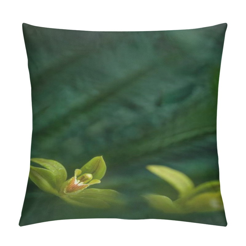 Personality  Beautiful Orchid Flower Grow In Tropical Garden With Natural Background, Wallpaper Natural Closeup Macro, Postcard Beauty And Agriculture Idea Concept Floral Design, Beautiful Flower Bloom Pillow Covers