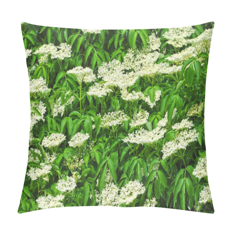 Personality  White Elderberry Blossom On Natural Green Background Pillow Covers