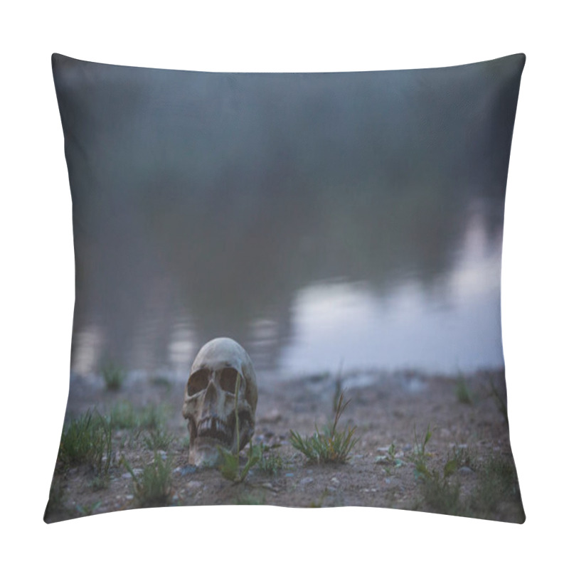 Personality  A Human Skull In The Fog And Twilight On The Shore Of A Lake With Tall Grass. Horrible The Concept Of Halloween, Scary Skull Layout At Dusk. Pillow Covers