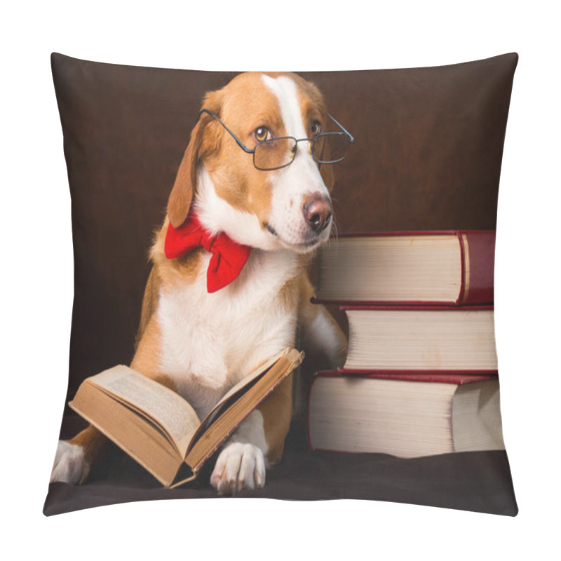 Personality  Cute Mixed Breed Dog Posing As An Intellectual Pillow Covers