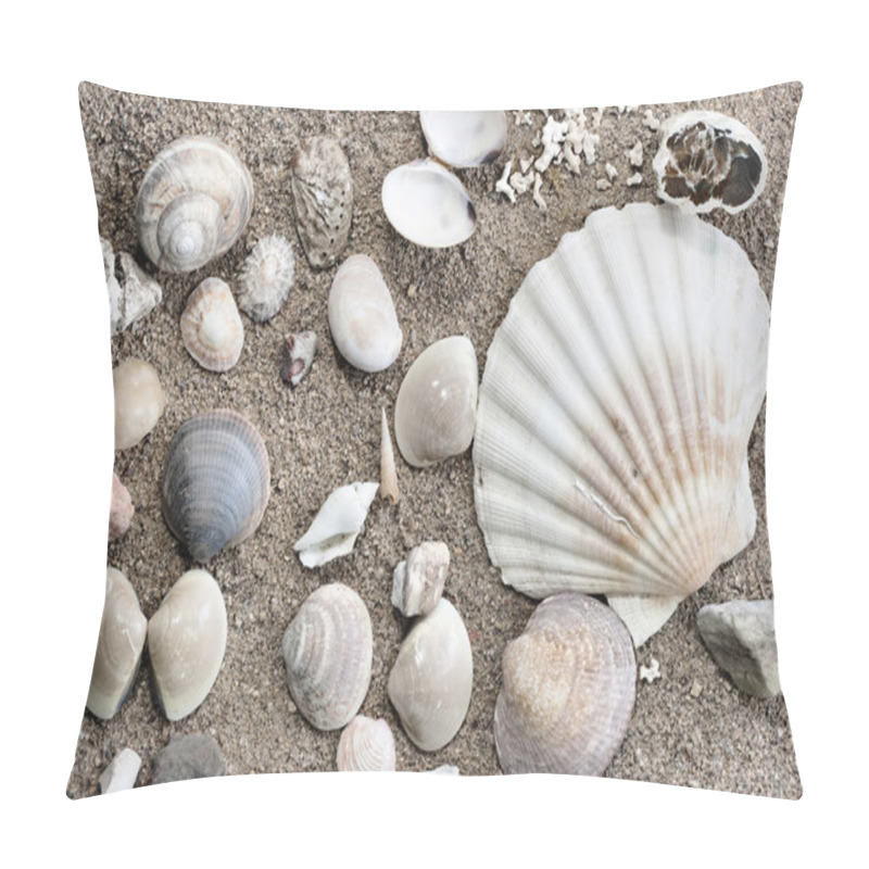 Personality  Shells Pillow Covers