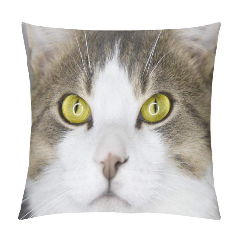 Personality  Yellow Cat's Eyes Pillow Covers