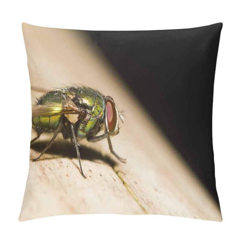 Personality  Blow Fly (Lucilia Caesar) Pillow Covers