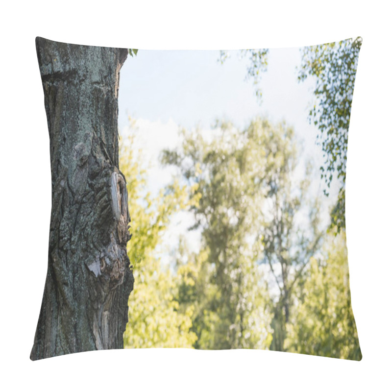 Personality  Selective Focus Of Tree In Peaceful Park With Blue Sky Pillow Covers