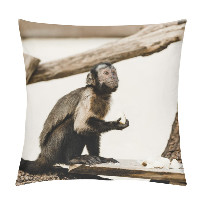 Personality  Selective Focus Of Cute Monkey Holding Coconut  Pillow Covers