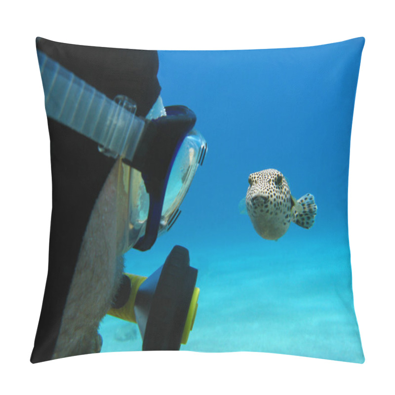 Personality  Scuba Diver And Pufferfish On The Bottom Of Red Sea Pillow Covers