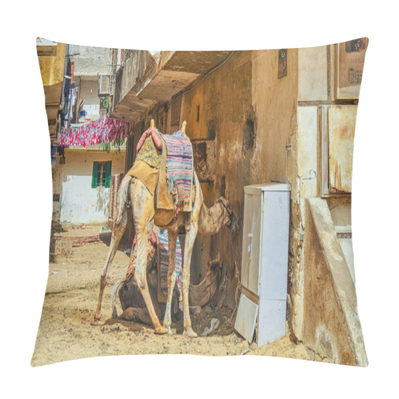 Personality  Cairo / Egypt - May 25th 2019: Camels Looking For Shelter From Hot Egyptian Sunshine, Streets Of Cairo, Egypt Pillow Covers