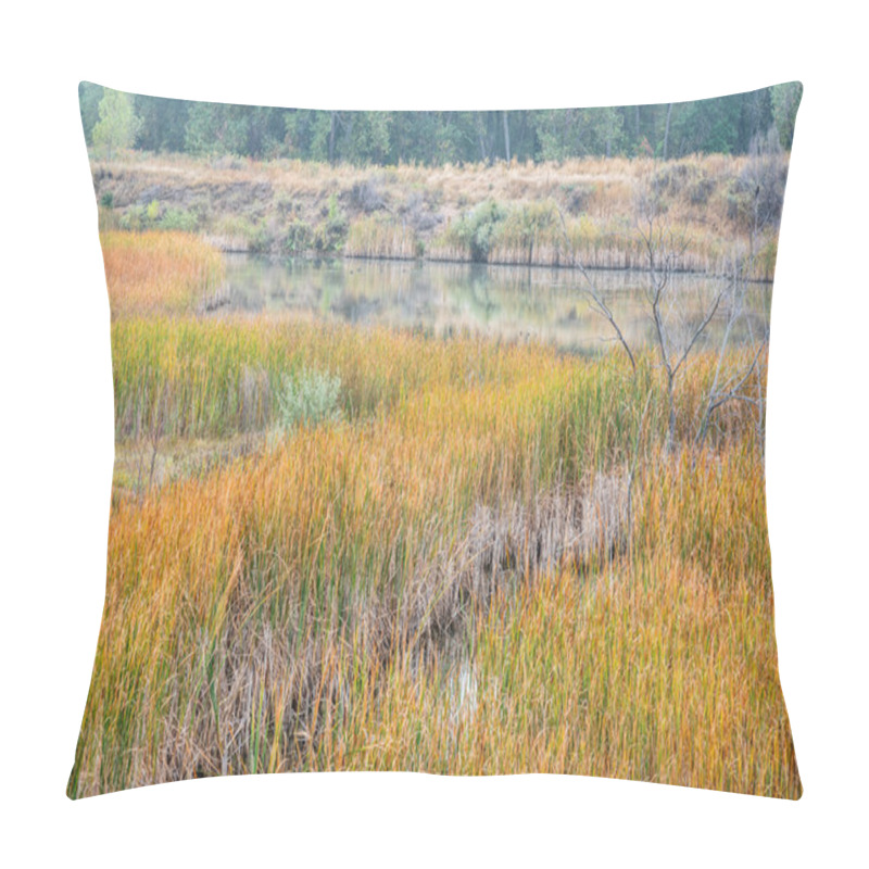 Personality  Foggy Fall Day In Wetlands Pillow Covers