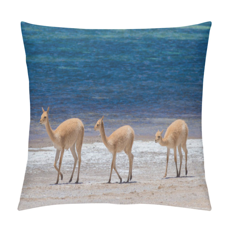 Personality  Guanaco In The Andes Mountains In Chile Pillow Covers