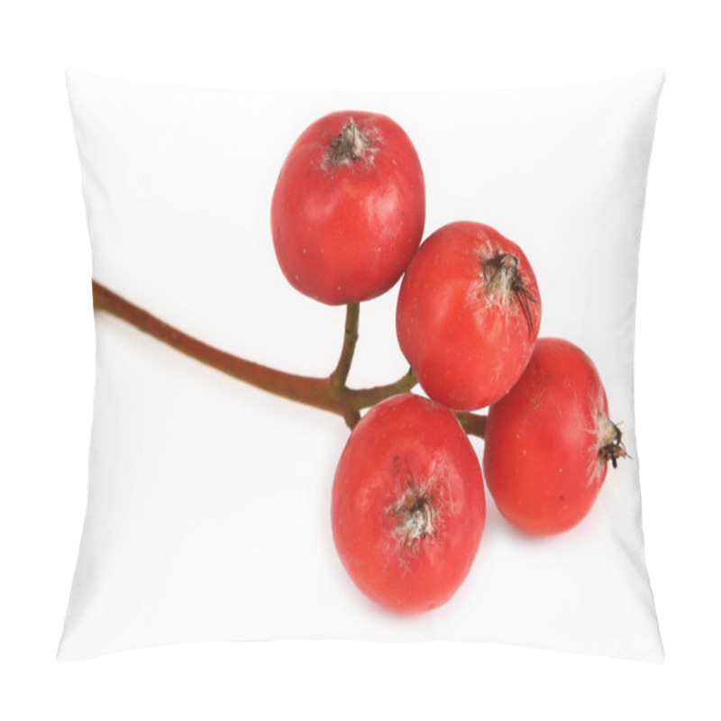 Personality  Extreme Macro Of Rowan Berries Pillow Covers