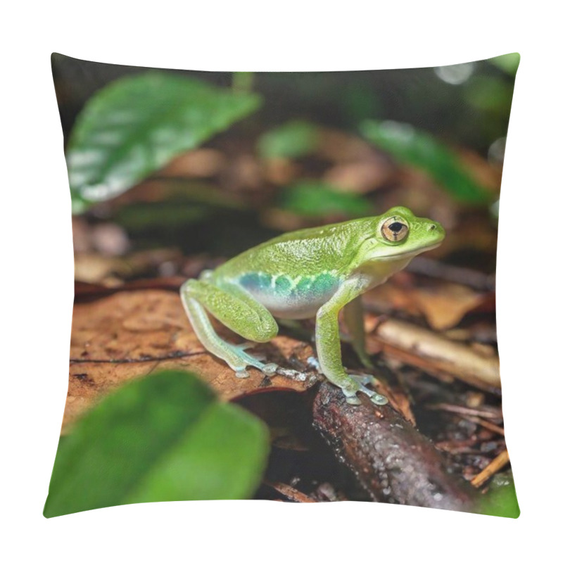 Personality  Macro Shot Of A Green Frog In A Misty Rainforest Setting Pillow Covers