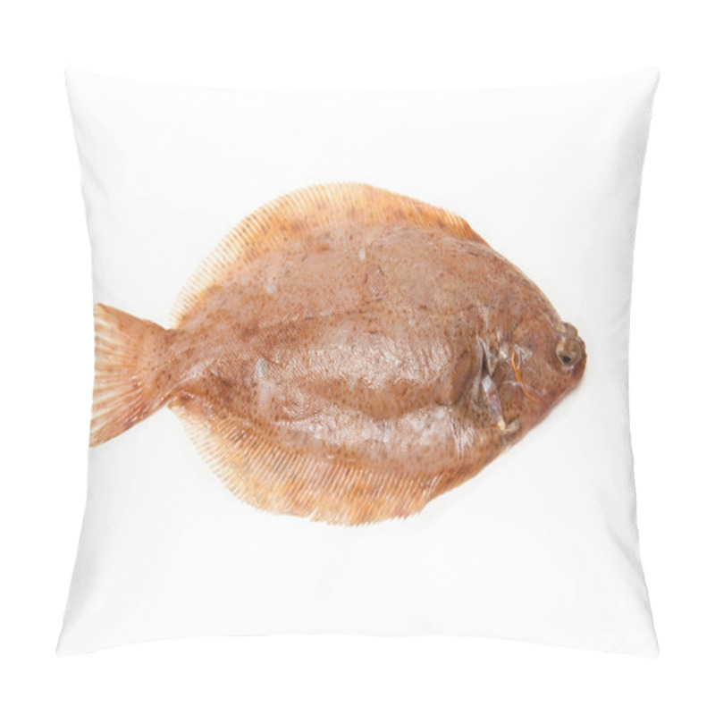 Personality  Lemon Sole Fish Isolated On A White Studio Background. Pillow Covers