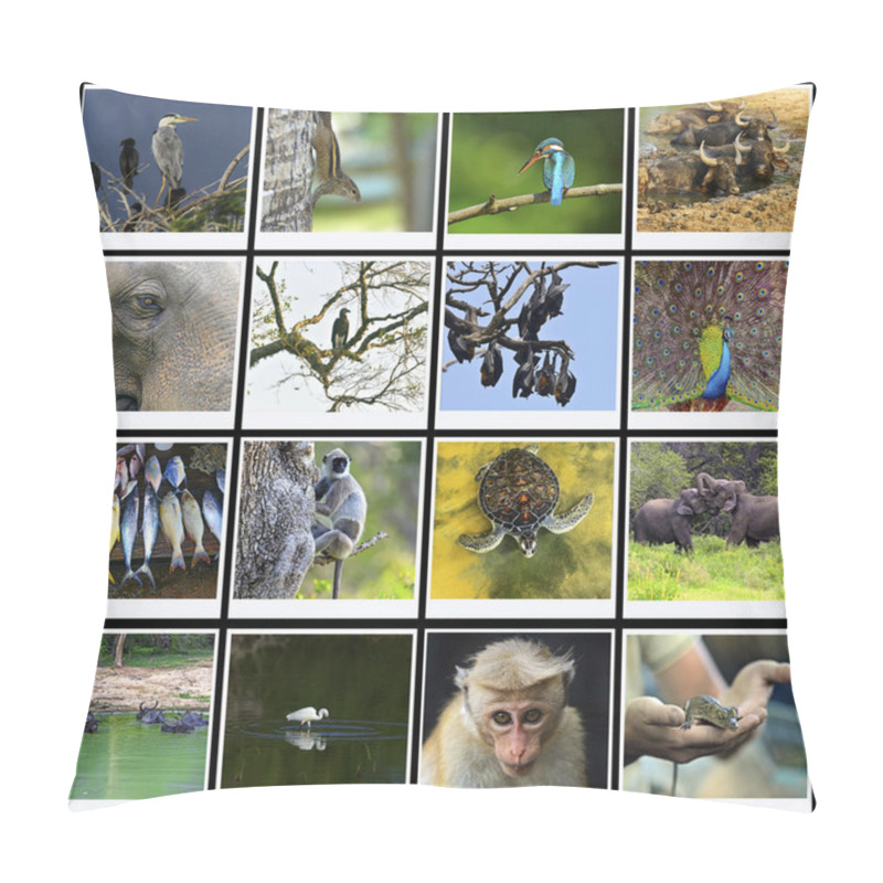 Personality  Sri Lanka Pillow Covers