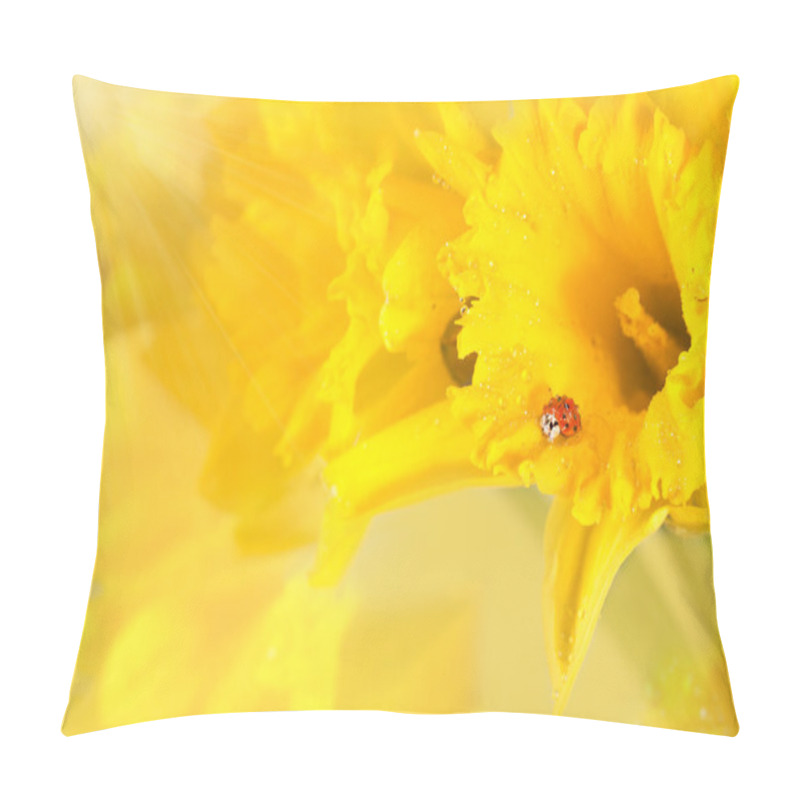 Personality  Ladybug On Yellow Daffodils Pillow Covers