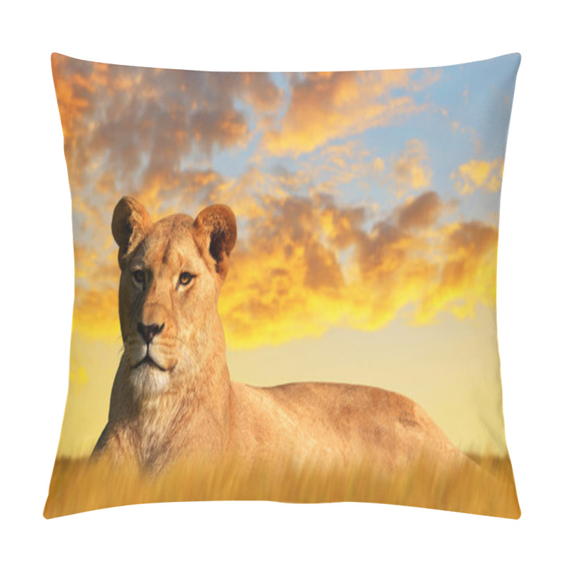 Personality  Lioness On The Savannah At Sunset. Wildlife Photo. Pillow Covers