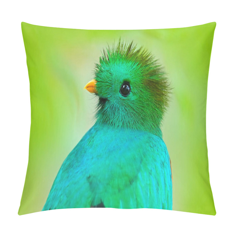 Personality  Resplendent Quetzal From Guatemala  Pillow Covers