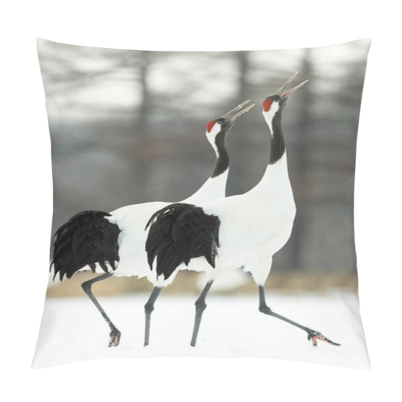 Personality  The Ritual Marriage Dance Of Cranes. The Red-crowned Cranes. Scientific Name: Grus Japonensis, Also Called The Japanese Crane Or Manchurian Crane, Is A Large East Asian Crane. Pillow Covers