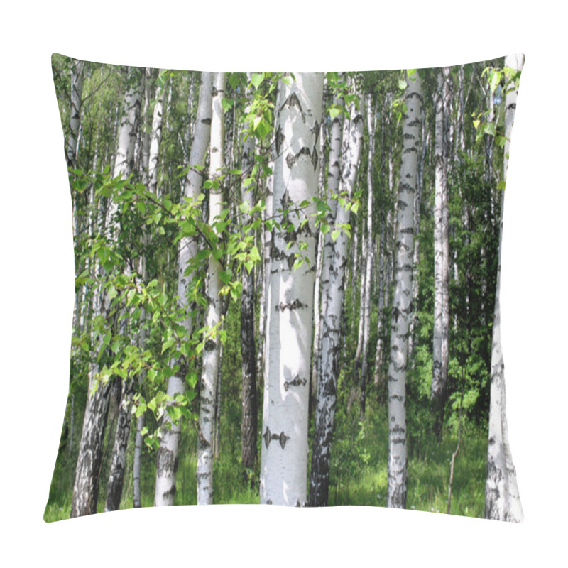 Personality  Beautiful Birch Trees Pillow Covers