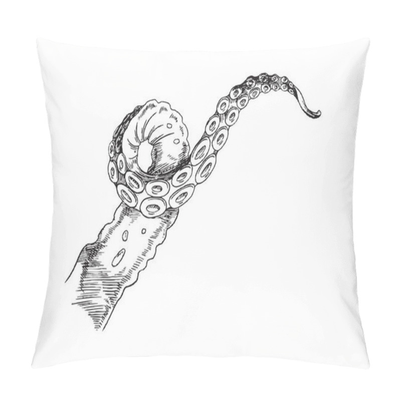 Personality  Octopus Tentacle Sketch. Vector Black And White Hand Drawn Illustration Of Single Tentacle Of Marine Animal. Pillow Covers