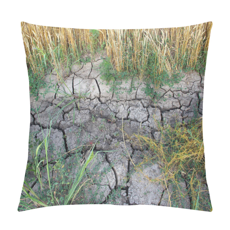 Personality  Dried, Cracked Soil In The Agricultural Field Pillow Covers