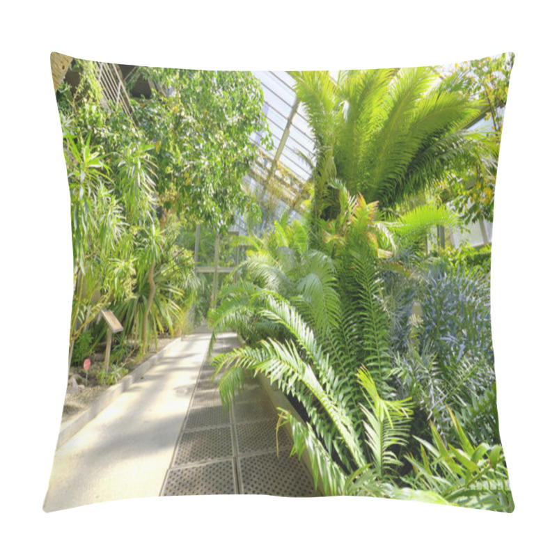 Personality  Tropical Plants In A Greenhouse At Botanic Garden, Madrid, Spain. Pillow Covers