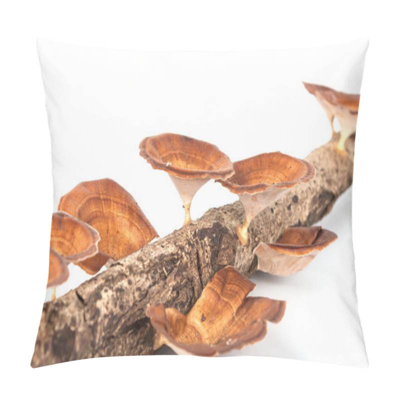 Personality  Close-up Mushroom Pillow Covers